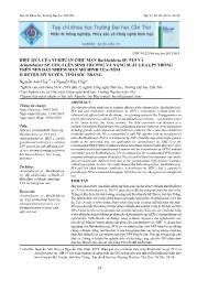 Hiệu quả của vi khuẩn chịu mặn burkholderia SP. Pl9 và acinetobacter SP. GH1-1 lên sinh trưởng và năng suất lúa lp5 trồng trên nền đất nhiễm mặn mô hình lúa-tôm ở huyện Mỹ Xuyên, tỉnh Sóc Trăng - Nguyễn Anh Huy
