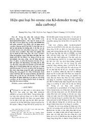 Hiệu quả loại bỏ ozone của KI-Denuder trong lấy mẫu carbonyl - Dương Hữu Huy
