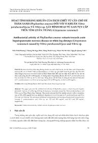 Hoạt tính kháng khuẩn của dịch chiết từ cây chó đẻ thân xanh (phyllanthus amarus) đối với vi khuẩn vibrio parahaemolitycus và vibrio sp. gây bệnh hoại tử gan tụy cấp trên tôm chân trắng (litopenaeus vannamei) - Trần Vinh Phương