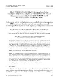 Hoạt tính kháng vi khuẩn vibrio parahaemolytỉcus gây bệnh hoại tử gan tụy cấp trên tôm chân trang (litopenaeus vannameỉ) của cây chó đẻ thân xanh (phyllanthus amarus) và chế phẩm EM5 - Phạm Thị Hải Yến