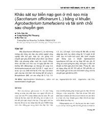 Khảo sát sự biến nạp gen ở mô sẹo mía (Saccharum officinarum L.) bằng vi khuẩn Agrobacterium tumefaciens và tái sinh chồi sau chuyển gen - Trần Văn Hà