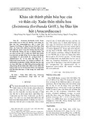 Khảo sát thành phần hóa học của vỏ thân cây Xuân thôn nhiều hoa (Swintonia floribunda Griff.), họ Đào lộn hột (Anacardiaceae) - Đặng Hoàng Phú