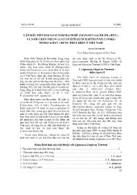 Lần đầu tiên hai loài nấm hạch rễ (lignosus sacer (fr.) ryv.) và nấm chân nhung (laccocephalum hartmannii (cooke) nunez & ryv.) được phát hiện ở Việt Nam - Lê Xuân Thám