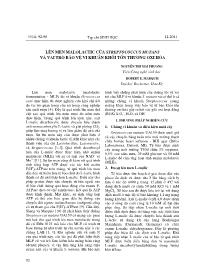 Lên men Malolactic của Streptococcus mutans và vai trò bảo vệ vi khuẩn khỏi tổn thương Oxi hóa - Nguyễn Thị Mai Phương