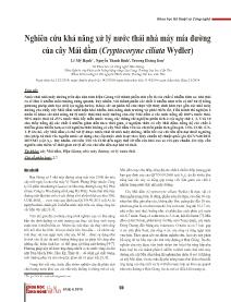 Nghiên cứu khả năng xử lý nước thải nhà máy mía đường của cây Mái dầm (Cryptocoryne ciliata Wydler) - Lê Mỹ Hạnh