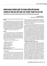Nhận dạng tròng mắt sử dụng biến đổi nhanh Curvelet rời rạc kết hợp các thuật toán PCA và SVD - Nguyễn Nam Phúc
