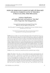 Phân lập, định danh và khảo sát một số tính chất có lợi của vi khuẩn lactic từ tôm chua ở thị xã Gò Công, tỉnh Tiền Giang - Trương Quốc Tất