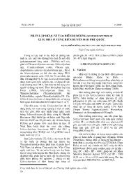 Phân lập được vi tảo biển dị dưỡng schizochytrium giàu DHA ở vùng biển huyện đảo Phú Quốc - Đặng Diễm Hồng