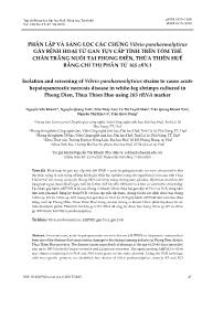 Phân lập và sàng lọc các chủng vibrio parahaemolyticus gây bệnh hoại tử gan tụy cấp tính trên tôm thẻ chân trắng nuôi tại phong điền, Thừa Thiên Huế bằng chỉ thị phân tử 16s RRNA - Nguyễn Văn Khanh