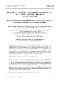 Phân lập và tạo dòng gene thermolabile hemolysin của vi khuẩn vibrio từ cá hồng mỹ ở Thừa Thiên Huế - Đặng Thanh Long