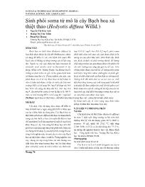 Sinh phôi soma từ mô lá cây Bạch hoa xà thiệt thảo (Hedyotis diffusa Willd.) - Nguyễn Thị Kim Anh