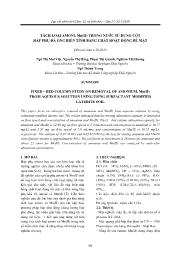 Tách loại amoni, Mn(II) trong nước sử dụng cột hấp phụ đá ong biến tính bằng chất hoạt động bề mặt - Nguyễn Thị Mai Việt