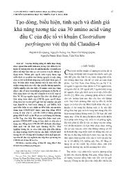 Tạo dòng, biểu hiện, tinh sạch và đánh giá khả năng tương tác của 30 amino acid vùng đầu C của độc tố vi khuẩn Clostridium perfringens với thụ thể Claudin-4 - Huỳnh Kiến Quang