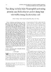 Tạo dòng và biểu hiện Neutrophil-Activating protein của Helicobacter pylori dung hợp với 6xHis trong Escherichia coli - Đoàn Thị Ngọc Thanh