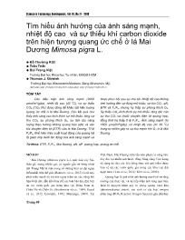 Tìm hiểu ảnh hưởng của ánh sáng mạnh, nhiệt độ cao và sự thiếu khí carbon dioxide trên hiện tượng quang ức chế ở lá Mai Dương Mimosa pigra L. - Đỗ Thường Kiệt