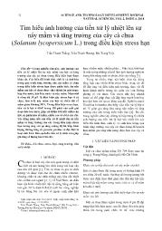 Tìm hiểu ảnh hưởng của tiền xử lý nhiệt lên sự nẩy mầm và tăng trưởng của cây cà chua (Solanum lycopersicum L.) trong điều kiện stress hạn - Trần Thanh Thắng