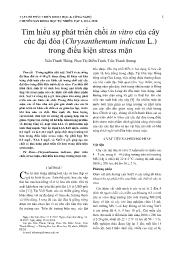 Tìm hiểu sự phát triển chồi in vitro của cây cúc đại đóa (Chrysanthemum indicum L.) trong điều kiện stress mặn - Trần Thanh Thắng