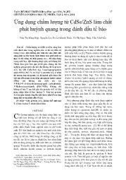 Ứng dụng chấm lượng tử CdSe/ZnS làm chất phát huỳnh quang trong đánh dấu tế bào - Trần Thị Hồng Điệp