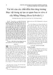 Vai trò của các chất điều hòa tăng trưởng thực vật trong sự tạo cơ quan hoa in vitro ở cây Hồng Nhung (Rosa hybrida L.) - Trần Minh Hồng Lĩnh