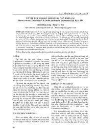 Về tập hợp ong ký sinh ở sâu non hai loài maruca vitrata (fabricius) và etiella zinckenella treitschke hại đậu đỗ - Khuất Đăng Long