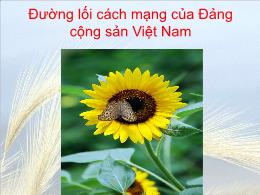 Bài giảng môn Đường lối cách mạng của Đảng cộng sản Việt Nam - Chương 1: Sự ra đời của đảng cộng sản Việt Nam và cương lĩnh chính trị đầu tiên