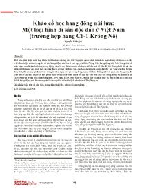 Khảo cổ học hang động núi lửa: Một loại hình di sản độc đáo ở Việt Nam (trường hợp hang C6-1 Krông Nô)