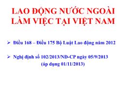 Lao động nước ngoài làm việc tại Việt Nam