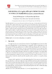 Ảnh hưởng của AgNO3 đến quá trình tái sinh in vitro cây nghệ đen (curcuma zedoaria roscoe)