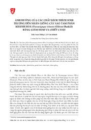 Ảnh hưởng của các chất kích thích sinh trưởng đến nhân giống cây xáo tam phân khánh hoà (paramignya trimera (oliver) burkill) bằng giâm hom và chiết cành