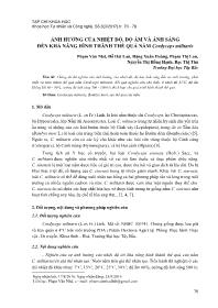 Ảnh hưởng của nhiệt độ, độ ẩm và ánh sáng đến khả năng hình thành thể quả nấm cordyceps militaris