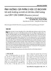 Ảnh hưởng của phân ủ hữu cơ biochar tới sinh trưởng và một số chỉ tiêu chất lượng của cây cải canh(brassica juncea)