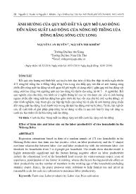 Ảnh hưởng của quy mô đất và quy mô lao động đến năng suất lao động của nông hộ trồng lúa đồng bằng sông Cửu Long