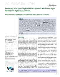 Ảnh hưởng mãn tính của phơi nhiễm Bisphenol A lên cá sọc ngựa (Danio rerio) ở giai đoạn Juvenile