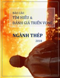 Báo cáo Tìm hiểu và đánh giá triển vọng ngành thép