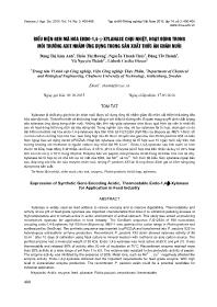 Biểu hiện gen mã hóa endo-1,4-β-xylanase chịu nhiệt, hoạt động trong môi trường axit nhằm ứng dụng trong sản xuất thức ăn chăn nuôi