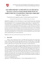 Đặc điểm sinh học và phân bố của cây sến trung (homalium ceylanicum (gardner) benth) trong rừng tự nhiên ở phú lộc và nam đông, tỉnh Thừa Thiên Huế