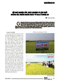 Kết quả nghiên cứu , khảo nghiệm và sản xuất giống lúa thuần ngắn ngày VT-NA6 ở Nghệ An