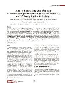 Khảo sát hiệu ứng của hỗn hợp selen nano/oligochitosan và Spirulina platensis đến số lượng bạch cầu ở chuột