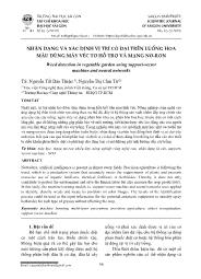 Nhận dạng và xác định vị trí cỏ dại trên luống hoa màu dùng máy véc tơ hỗ trợ và mạng nơ-ron