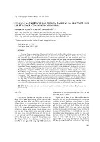 Phân loại và nghiên cứu đặc tính của xạ khuẩn nội sinh ybq75 phân lập từ cây quế (cinnamomum cassia presl)