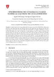 Tình hình phòng trừ cỏ dại hại lúa và khảo nghiệm các loại thuốc trừ cỏ lúa ở Bình Định