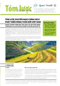 Tóm lược khuyến nghị chính sách phát triển nông thôn mới Việt Nam