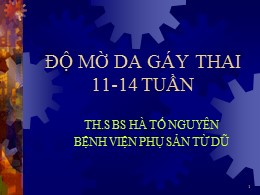 Bài giảng Độ mờ da gáy thai 11-14 tuần - Hà Tố Nguyên