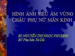 Bài giảng Hình ảnh siêu âm vùng chậu phụ nữ mãn kinh - Nguyễn Thị Ngọc Phượng