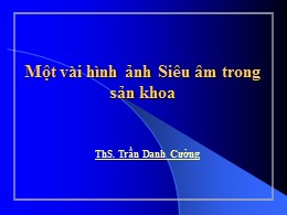 Bài giảng Một vài hình ảnh siêu âm trong sản khoa - Trần Danh Cường