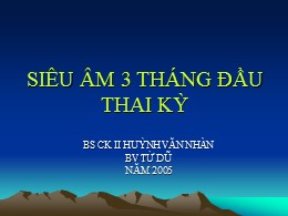 Bài giảng Siêu âm 3 tháng đầu thai kỳ - Huỳnh Văn Nhàn