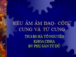 Bài giảng Siêu âm âm đạo-cổ tử cung và tử cung - Hà Tố Nguyên