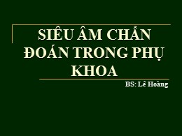 Bài giảng Siêu âm chẩn đoán trong phụ khoa - Lê Hoàng