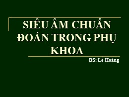 Bài giảng Siêu âm chuẩn đoán trong phụ khoa - Lê Hoàng