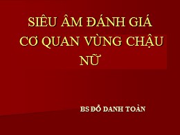 Bài giảng Siêu âm đánh giá cơ quan vùng chậu nữ - Đỗ Danh Toàn